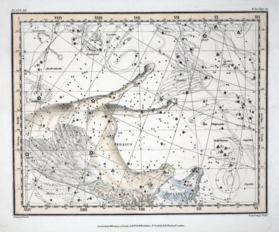 The Constellations (Plate XII) Pegasus, and Equuleus, from 
